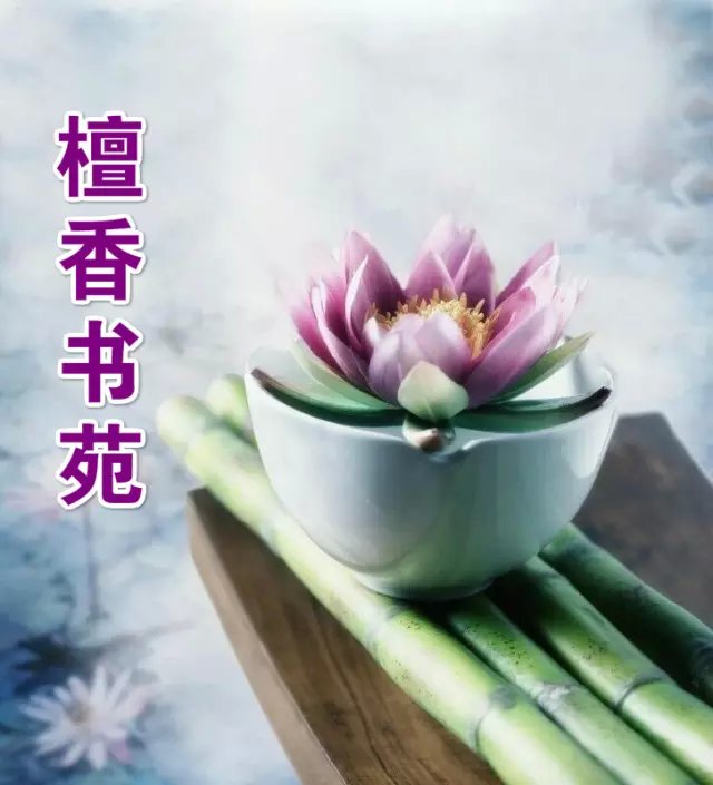 【檀香.某人杯】年華正好（短篇小說 征文）