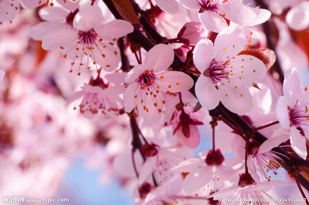 【丁香花開】四月，在塵世里拾取幸福（散文）