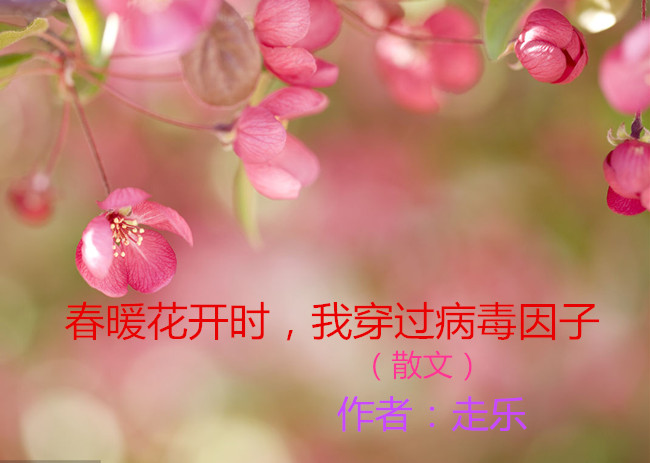 【八一】春暖花開時(shí)，我穿過病毒因子（散文）