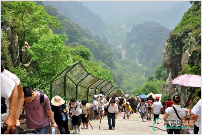 【丁香?祝福江山】登 岳（散文）