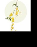 【山河● 秋】桂子花開（散文）