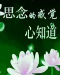 【柳岸·冀】那一刻 我想起了媽媽（詩歌/外三首）