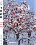 【家園·冬】杭州的雪（散文·外一篇）