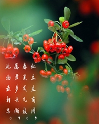 兩地相思，紅豆紅（外二章）