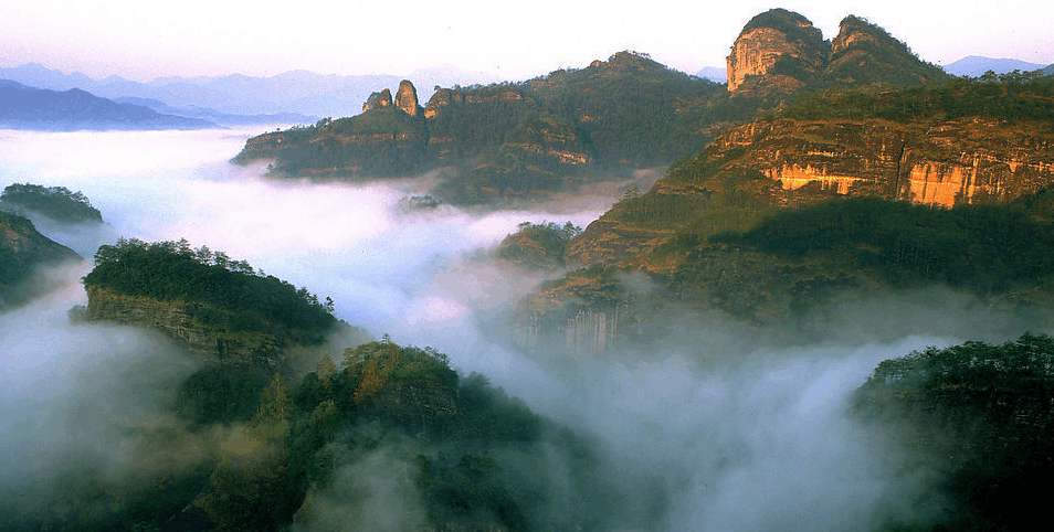 【鳳凰?舞】武夷山之旅——叩問(wèn)山水，茶中情（散文）