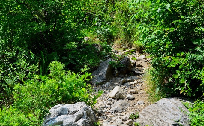 【八一】山路彎彎（散文）