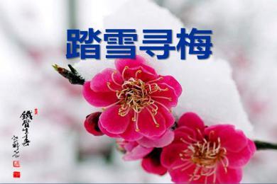 【軍警】落雪，有詩有襲（詩歌）