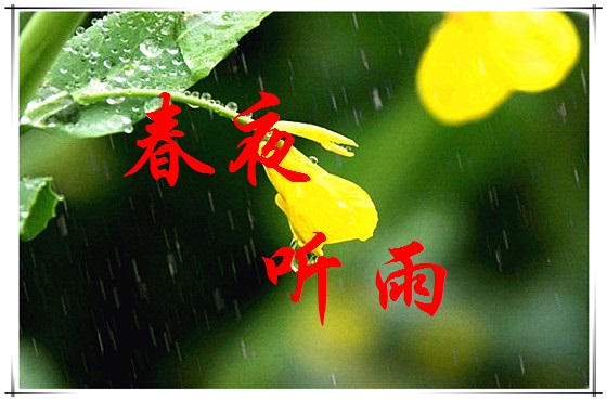 【丁香花語(yǔ)】春夜聽(tīng)雨  (散文)