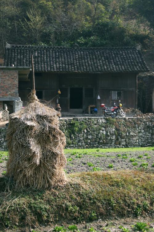 【酒家】往南，去外婆家（散文）