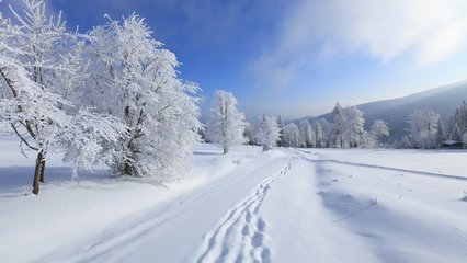 【西風征文】雪性（冬遇散文）