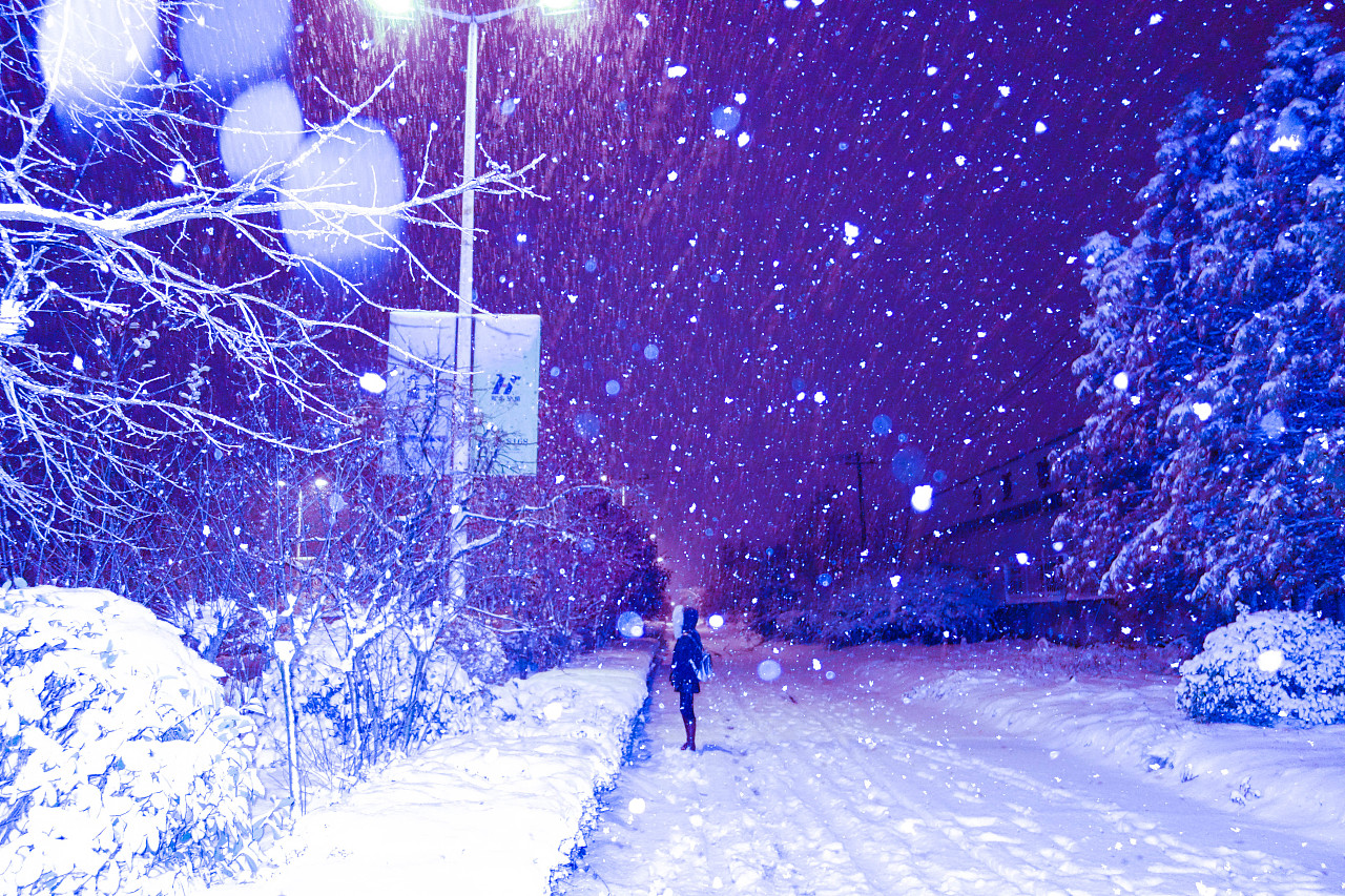 【酒家】雪夜絮語（散文）