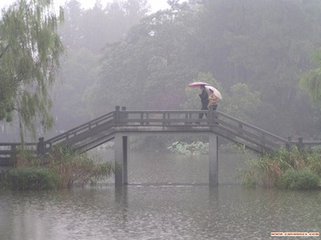 【星月】汝河秋雨（散文）