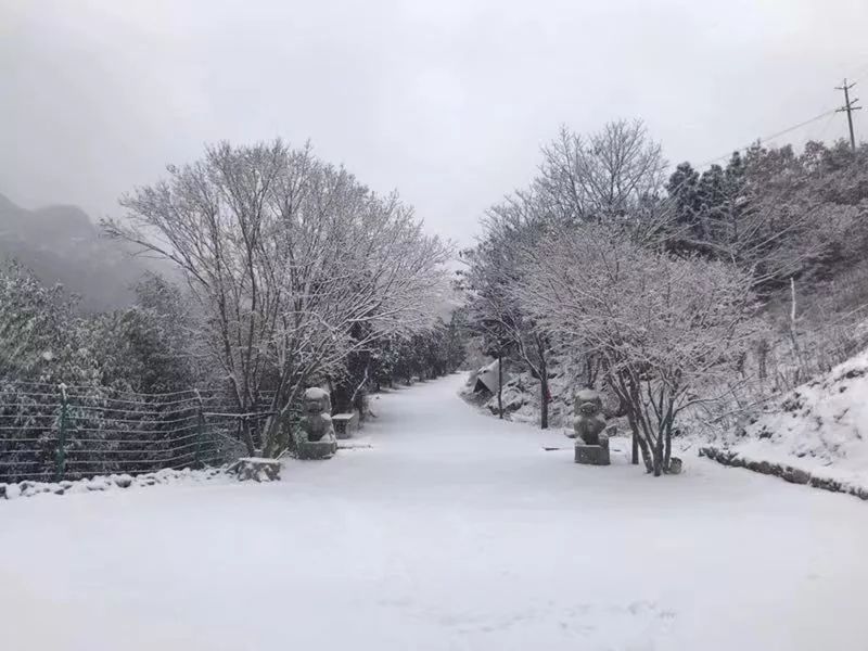 【丁香·愛心】走過落雪的大地（散文）