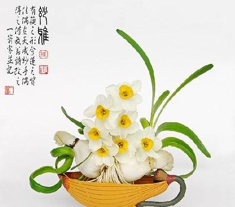 【荷塘】素心一捧，踏浪來（散文）