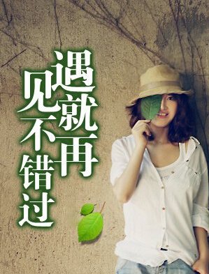 【柳岸】如果遇見，請不要錯過（小說）